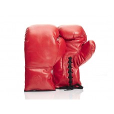 Boxing Gloves 